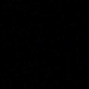 Meet your Posher, Amya